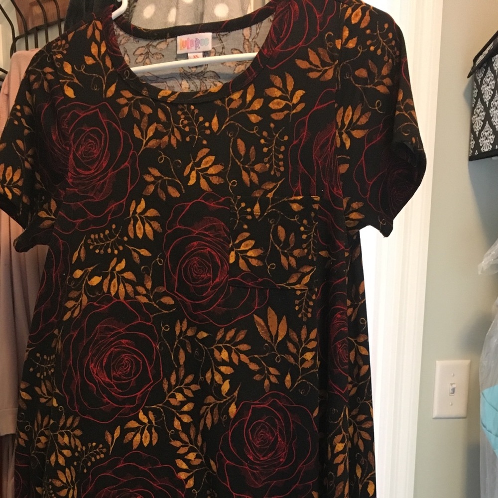 Lularoe Carly size XS